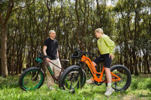 folding electric bike