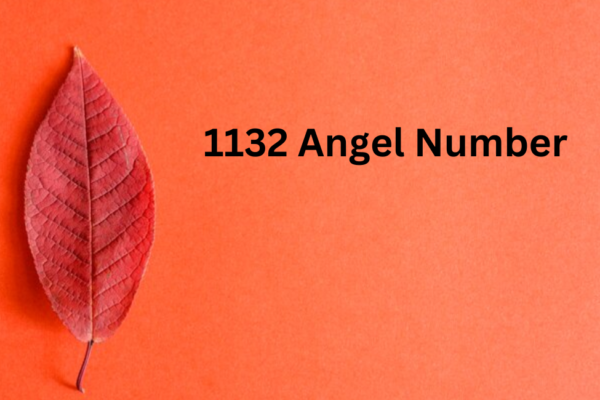 1132 angel number